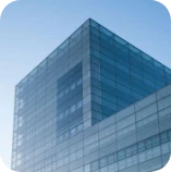 Business Litigation